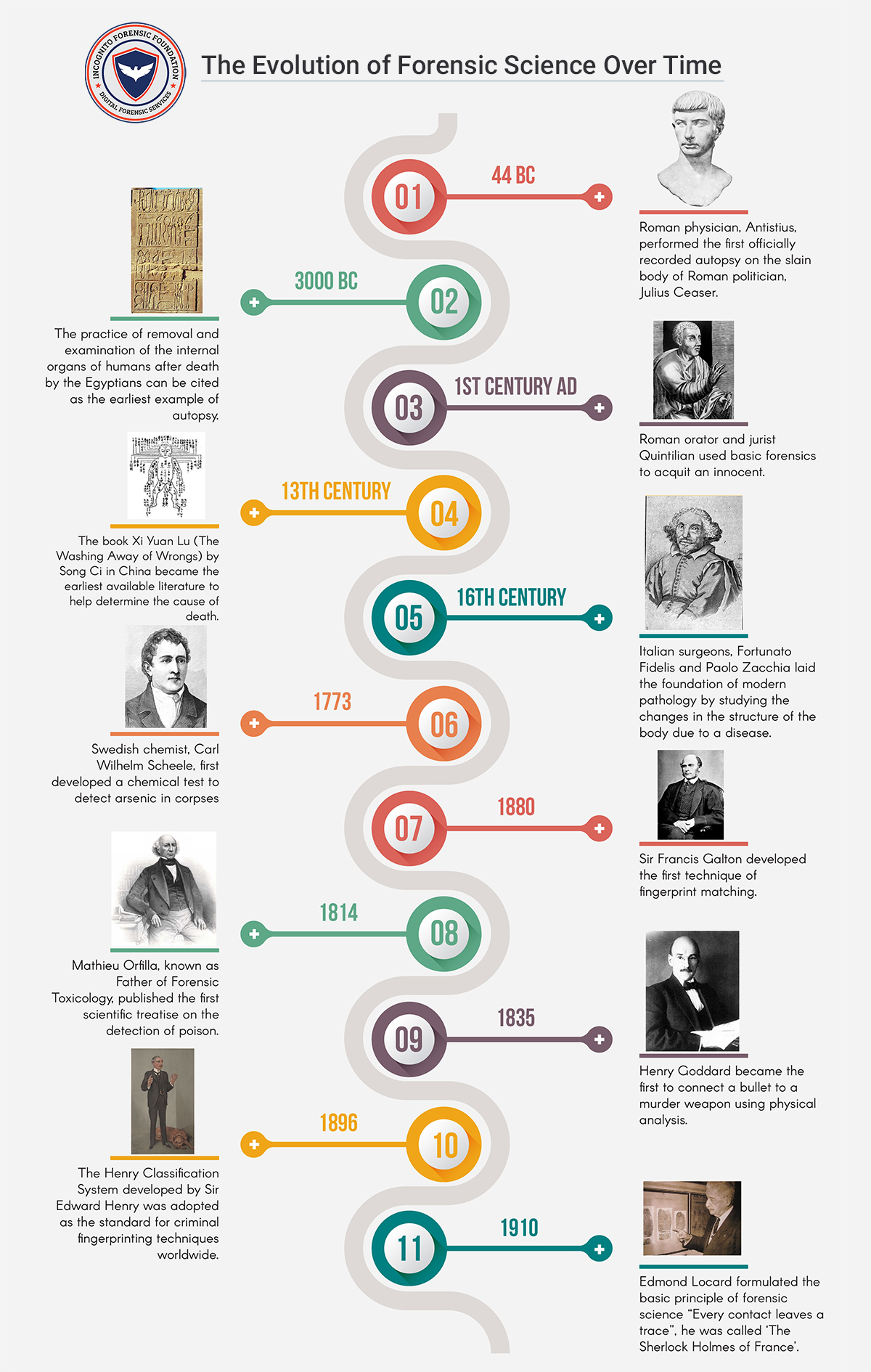 Forensic History Timeline